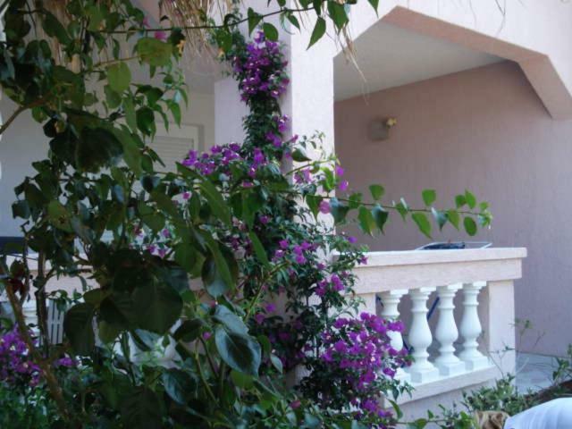 Apartments Mirjana - ستارا نوفالجا المظهر الخارجي الصورة